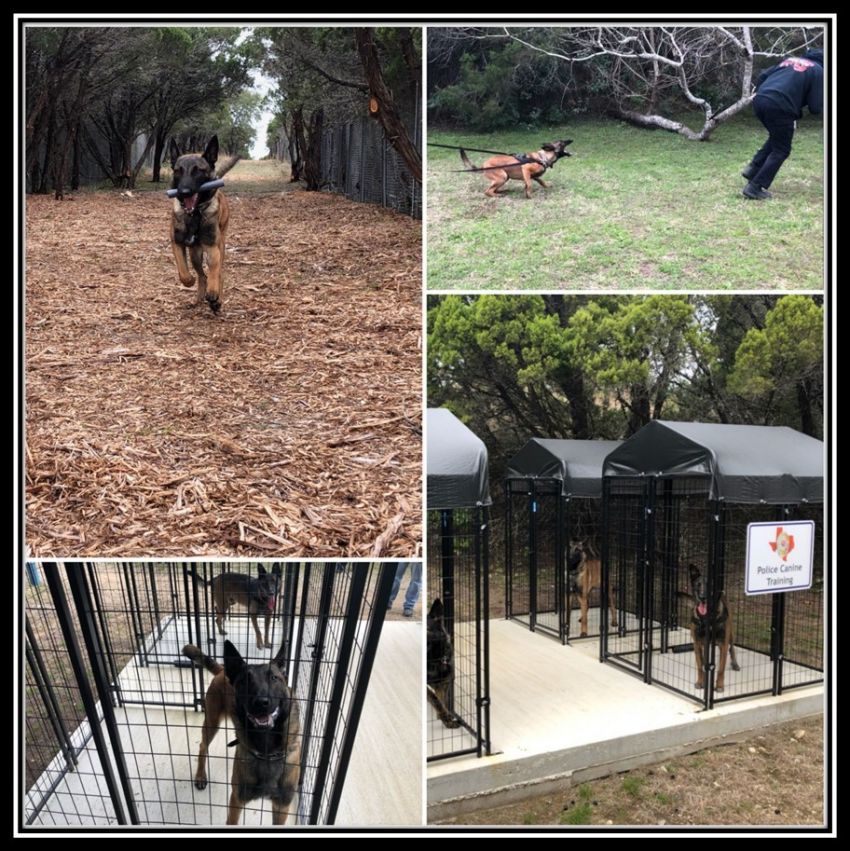 UTSP Academy Canine Facility