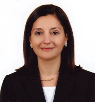 Aysegul A. Sahin profile photo